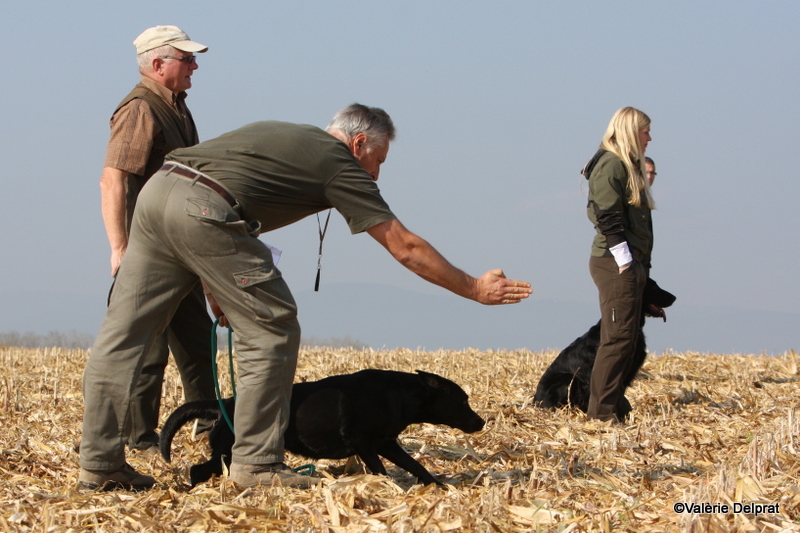 Field Erstein 09 (151).JPG